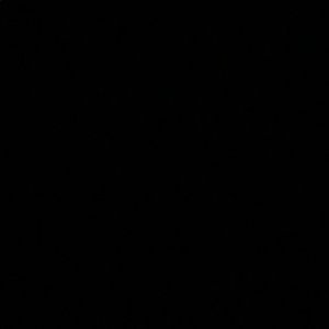 Meet your Posher, Sitara